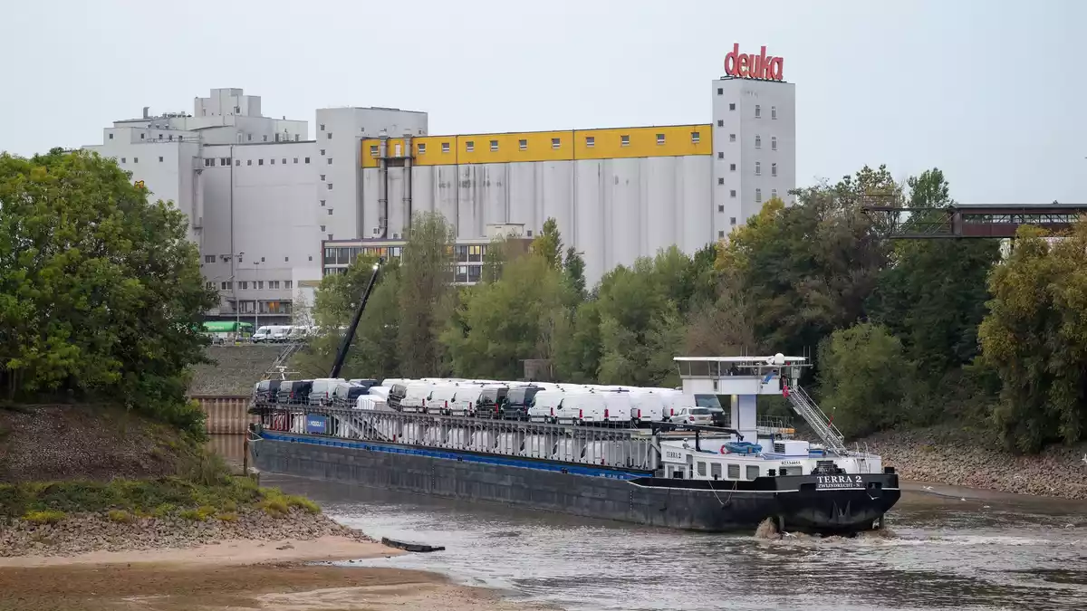 Viel Schiff, wenig Wasser: Dieses Frachtschiff hatte sich auf einer Sandbank im Düsseldorfer Hafen festgefahren.  - Bild: Christoph Reichwein/dpa