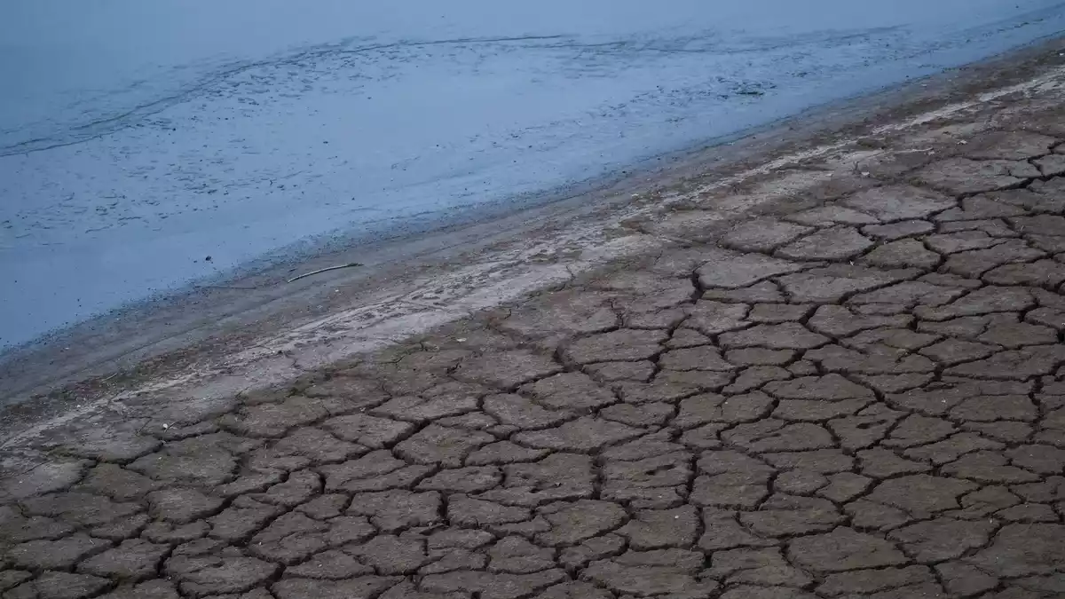 Wo sonst Wasser oder zumindest Schlamm ist, ist es derzeit knochentrocken im Düsseldorfer Hafen.  - Bild: Christoph Reichwein/dpa