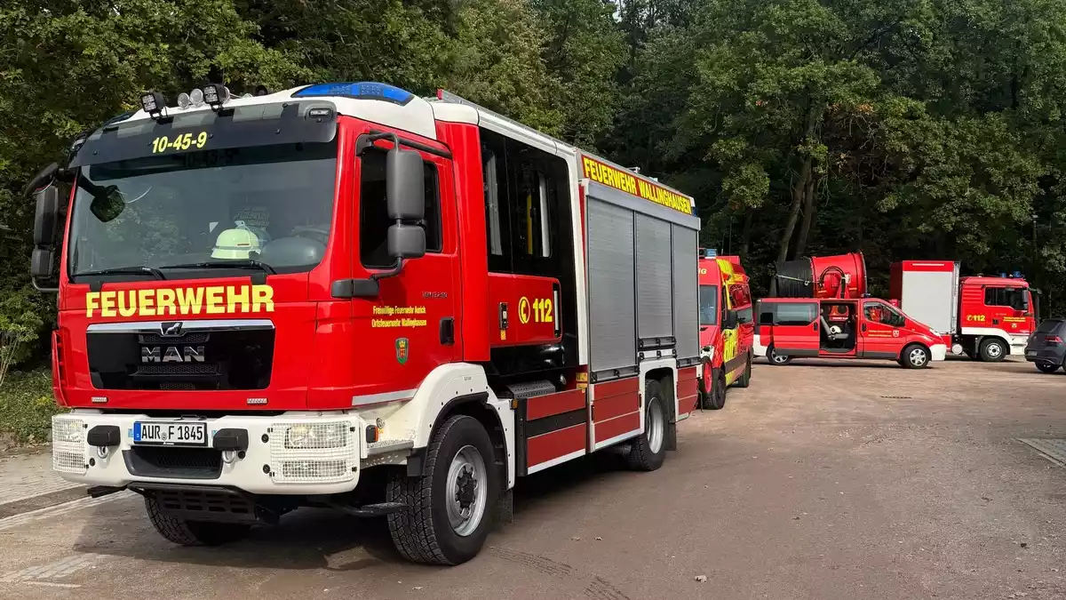 FW-AUR: Automatische Brandalarme parallel zueinander - Bild: presseportal.de