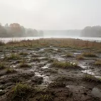 Ein leeres, feuchtes Feld am Ufer eines Flusses an einem trüben Herbstmorgen. - Foto: über boerse-global.de