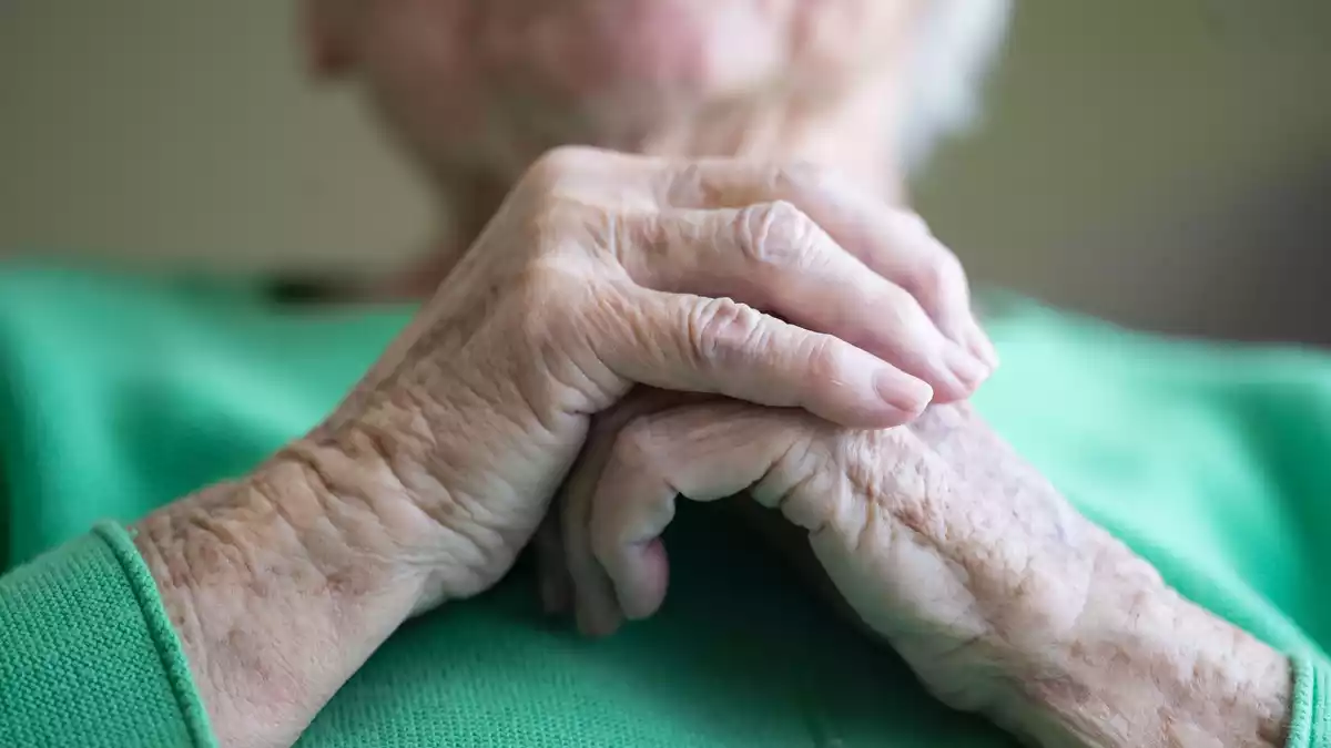 Die Koalition will die Pflege reformieren - tut sich bei dem Projekt aber schwer. (Symbolfoto)  - Bild: Marijan Murat/dpa