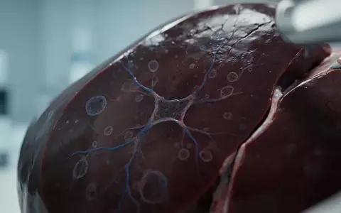 Mikroskopische Aufnahme von biologischem Gewebe in einem Laborumfeld zur Illustration medizinischer Forschung. - Foto: über boerse-global.de