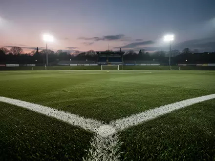 Ein perfekt gepflegter Fußballrasen unter Flutlicht am Abend ohne Spieler. - Foto: über boerse-global.de