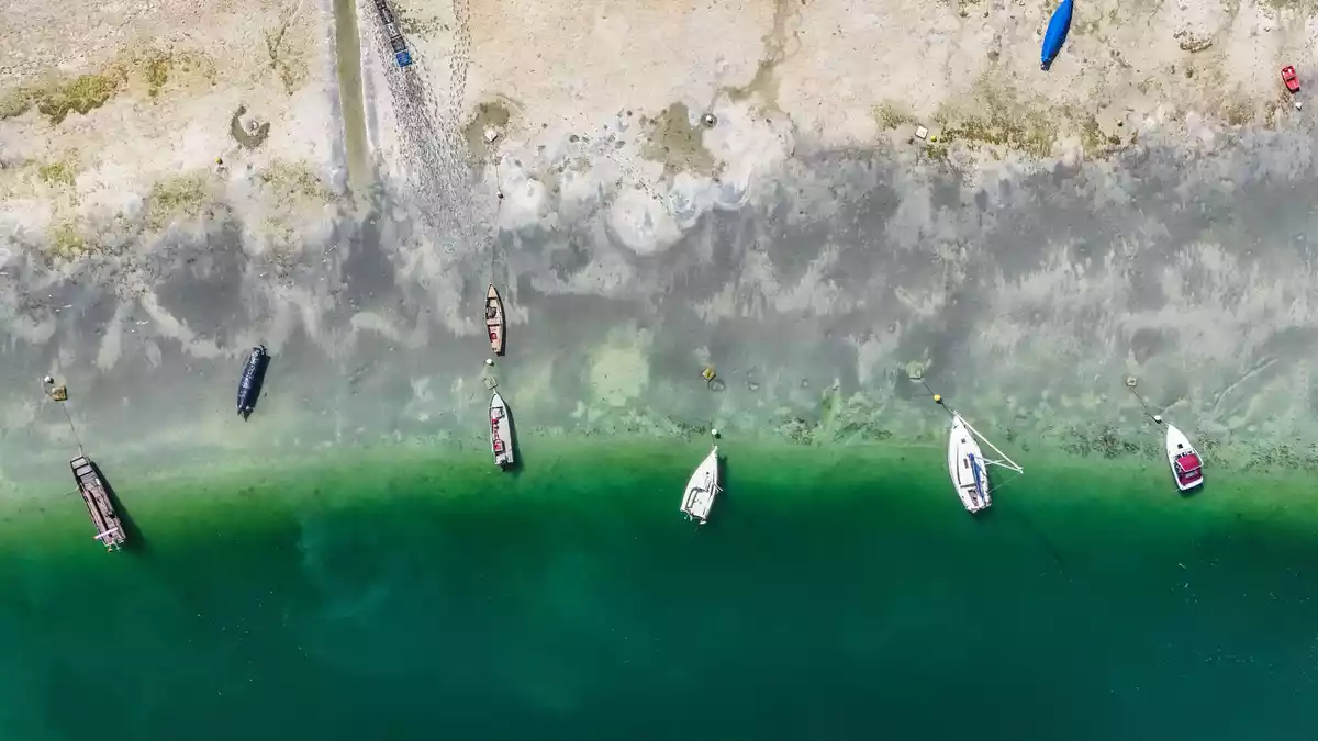 Die Trockenheit sorgt für niedrige Wasserstände am Bodensee. (Archivbild)  - Bild: Marius Bulling/onw-images/dpa