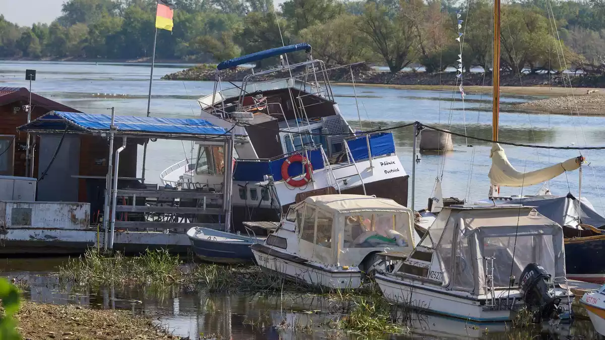 Zu wenig Wasser: Bei Oestrich-Winkel im hessischen Rheingau liegen Sportboote auf dem Grund des Rheins.  - Bild: Thomas Frey/dpa