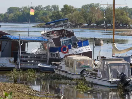 Zu wenig Wasser: Bei Oestrich-Winkel im hessischen Rheingau liegen Sportboote auf dem Grund des Rheins.  - Foto: Thomas Frey/dpa