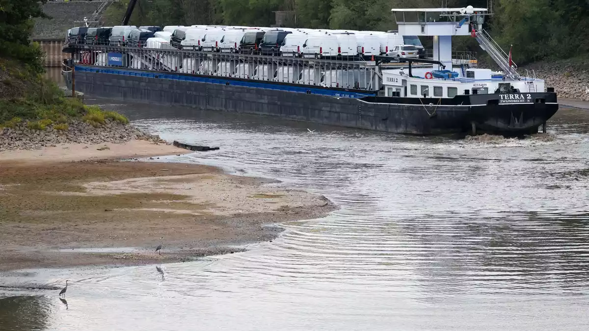 Am Montagabend hat sich wegen des extrem niedrigen Pegelstands ein Frachtschiff im Düsseldorfer Hafen festgefahren. - Bild: Christoph Reichwein/dpa
