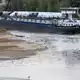 Am Montagabend hat sich wegen des extrem niedrigen Pegelstands ein Frachtschiff im Düsseldorfer Hafen festgefahren. - Bild: Christoph Reichwein/dpa