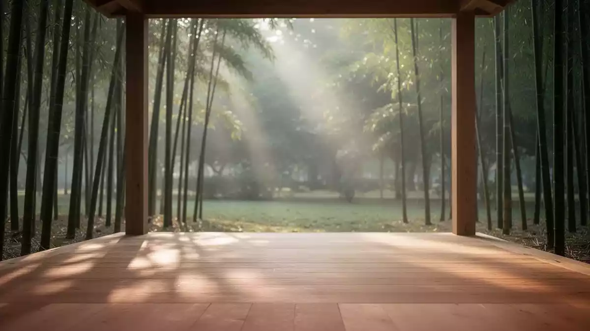 Qi Gong und Tai Chi: Vereine und Kommunen fördern Bewegung