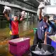 Zahlreiche Provinzen und die Hauptstadt Bangkok sind betroiffen. - Bild: Sakchai Lalit/AP/dpa