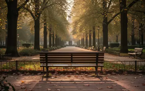 Ein leerer Parkbank in einem herbstlichen Garten, umgeben von Bäumen, als Symbol für soziale Begegnungsorte. - Foto: über boerse-global.de