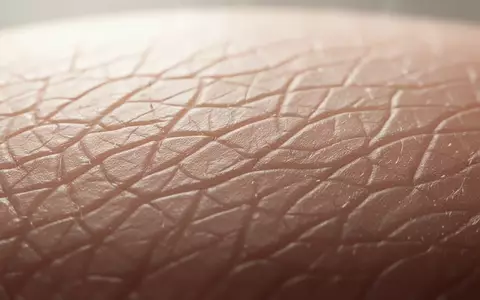 Nahaufnahme einer gesunden menschlichen Hautoberfläche bei natürlichem Licht, die die feine Textur der Epidermis zeigt. - Foto: über boerse-global.de