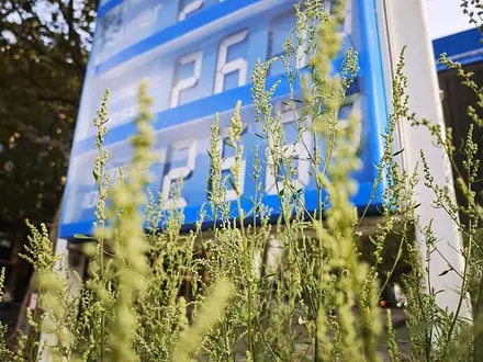 Tankstelle am 30.09.2026 - Foto: via dts Nachrichtenagentur