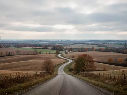 Weite, herbstliche Hügellandschaft mit Feldern und einem gewundenen Feldweg unter einem wolkenverhangenen Himmel. - Foto: über boerse-global.de