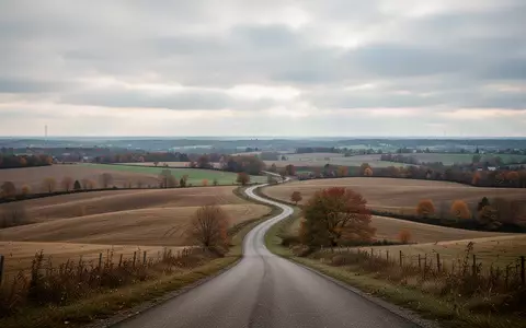 Weite, herbstliche Hügellandschaft mit Feldern und einem gewundenen Feldweg unter einem wolkenverhangenen Himmel. - Foto: über boerse-global.de