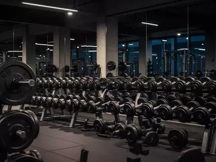 Ein minimalistisch beleuchteter Fitnessraum mit Hantelscheiben und Kurz-hanteln auf Ablagen in einer professionellen Trainingsumgebung. - Foto: über boerse-global.de