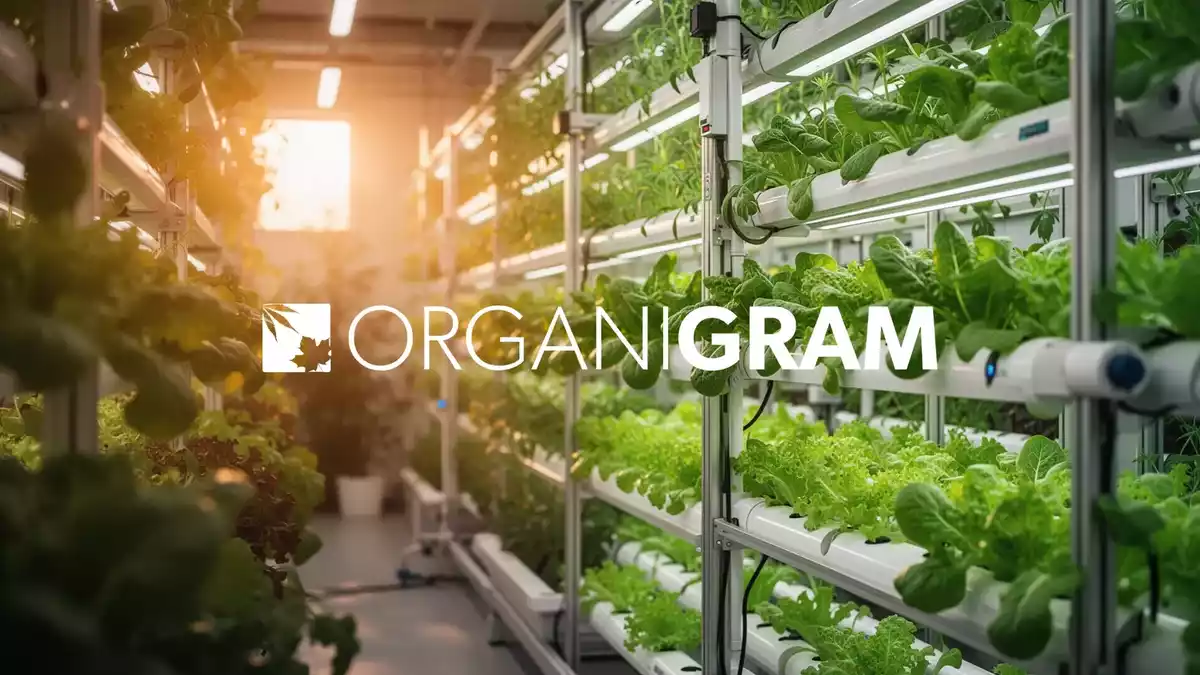 Organigram Global: Investorenkonferenz beleuchtet Wachstum und Profitabilität