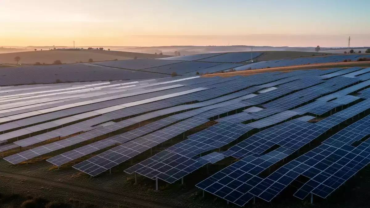 TrinaTracker präsentiert KI-Roboter für Montage und Wartung von Solaranlagen