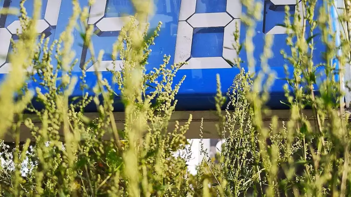 Schweitzer fordert Entlastung beim Tanken über Jahresende hinaus