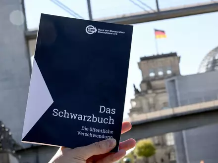 Dieses Jahr geht es besonders um staatliche Förderprogramme. (Archivbild) - Foto: Britta Pedersen/dpa