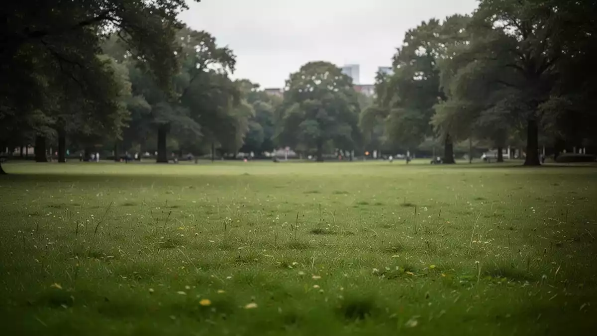 Sport im Park Hannover 2026: 40.816 Teilnahmen digital erfasst