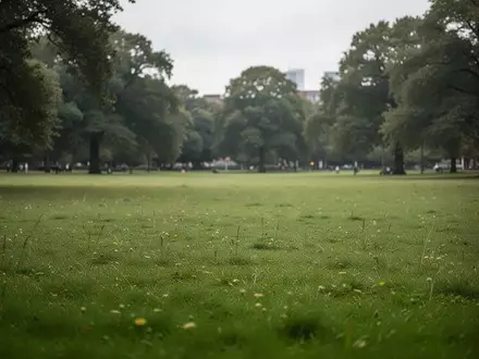 Eine weitläufige, leere Grünfläche in einem öffentlichen Park in Hannover bei bewölktem Himmel. - Foto: über boerse-global.de