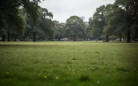 Eine weitläufige, leere Grünfläche in einem öffentlichen Park in Hannover bei bewölktem Himmel. - Foto: über boerse-global.de
