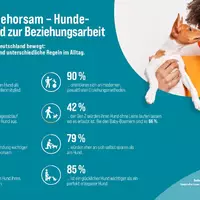 Welthundetag: Vier Pfoten, große Gefühle - was Menschen mit Hund wirklich bewegt - Foto: presseportal.de