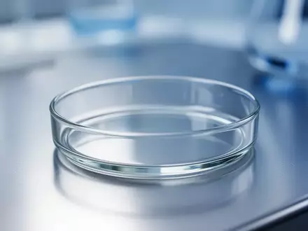 Eine leere Petrischale auf einer sterilen Edelstahloberfläche in einem klinischen Laborumfeld. - Foto: über boerse-global.de