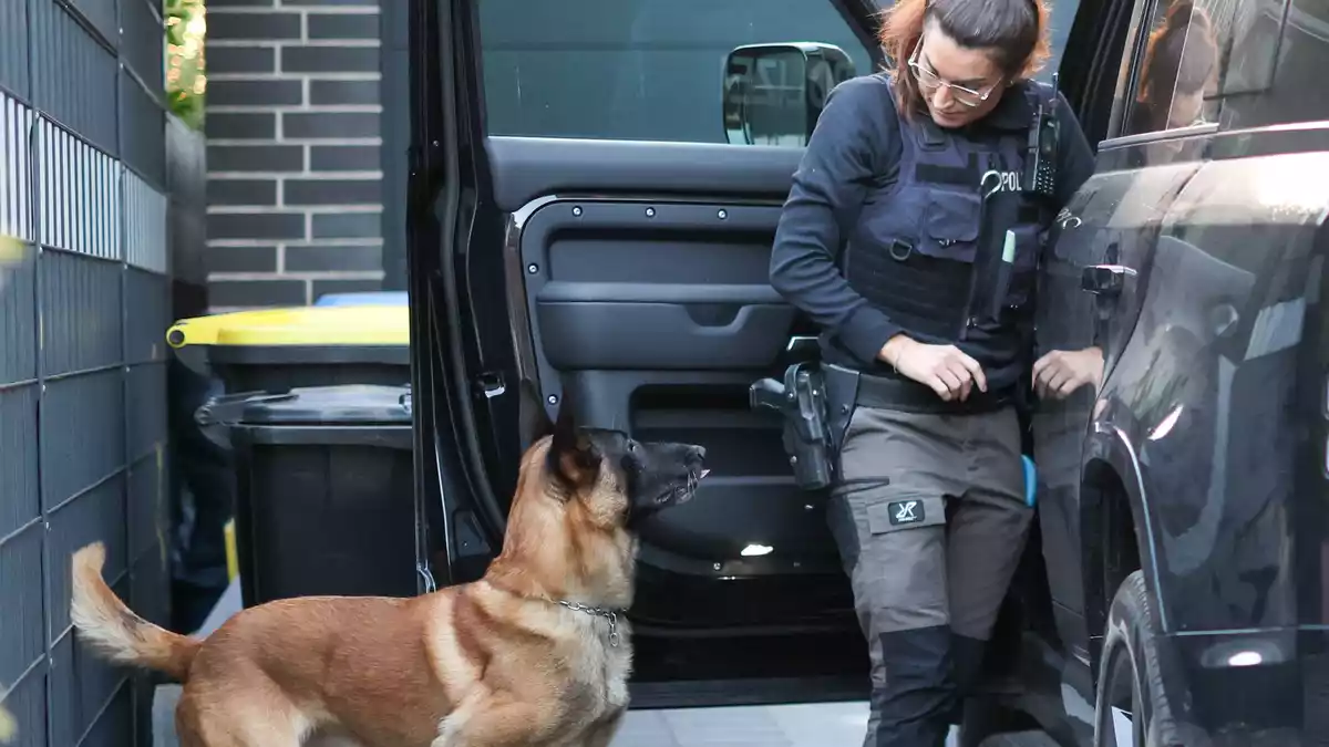 1.700 Einsatzkräfte waren an der Razzia beteiligt - und 50 Spürhunde.  - Bild: Christoph Reichwein/dpa