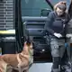1.700 Einsatzkräfte waren an der Razzia beteiligt - und 50 Spürhunde.  - Bild: Christoph Reichwein/dpa