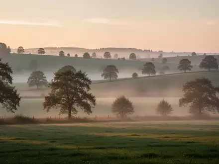 Landschaft mit sanften Hügeln, Bäumen und Morgennebel in einer ruhigen ländlichen Umgebung. - Foto: über boerse-global.de