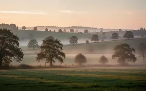Landschaft mit sanften Hügeln, Bäumen und Morgennebel in einer ruhigen ländlichen Umgebung. - Foto: über boerse-global.de