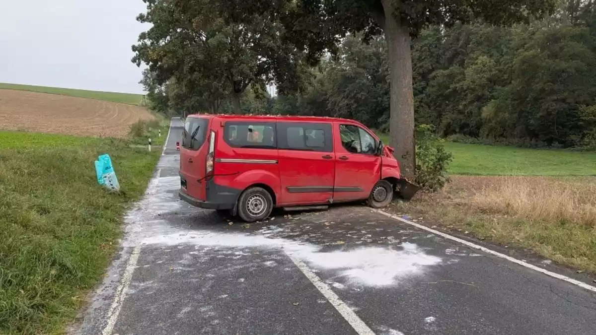 POL-HI: Baumunfall fordert eine schwer- und zwei leichtverletzte Personen - Bild: presseportal.de