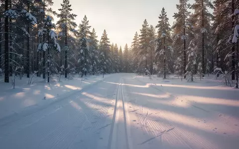 Frisch gespurte Langlaufloipe in einem verschneiten Nadelwald in der Morgendämmerung. - Foto: über boerse-global.de