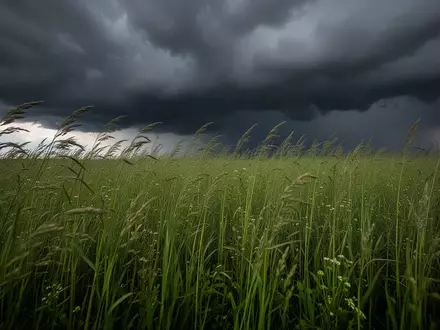 Weites, grünes Grasfeld unter einem bedrohlichen Gewitterhimmel kurz vor einem Sturm. - Foto: über boerse-global.de