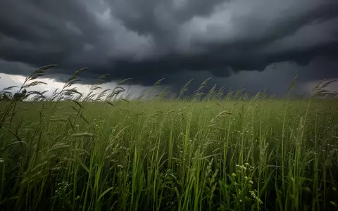 Weites, grünes Grasfeld unter einem bedrohlichen Gewitterhimmel kurz vor einem Sturm. - Foto: über boerse-global.de