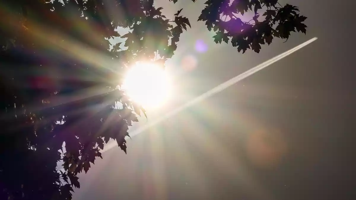 Die Sonne schaut hinter einer Baumkrone hervor. (Archivbild) - Bild: Christoph Reichwein/dpa