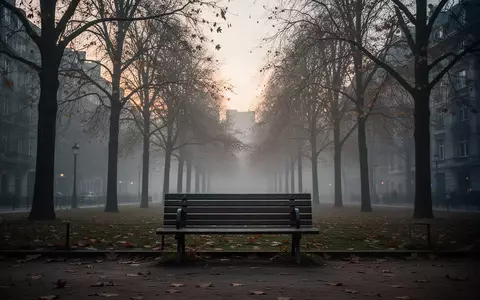 Eine leere Parkbank in einem nebligen Stadtpark bei Dämmerung, die Einsamkeit und soziale Distanz symbolisiert. - Foto: über boerse-global.de