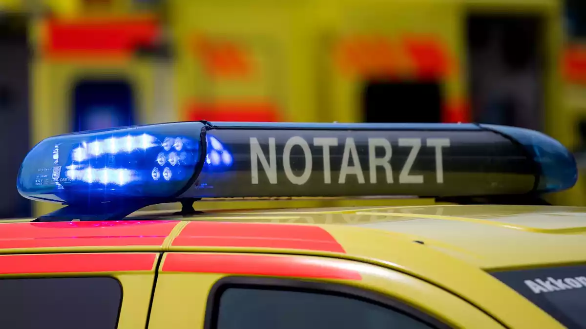 Der Fall ereignete sich laut Polizei am 2. Oktober 2026 gegen 11:30 Uhr. (Symbolbild) - Bild: Monika Skolimowska/dpa-Zentralbild/dpa