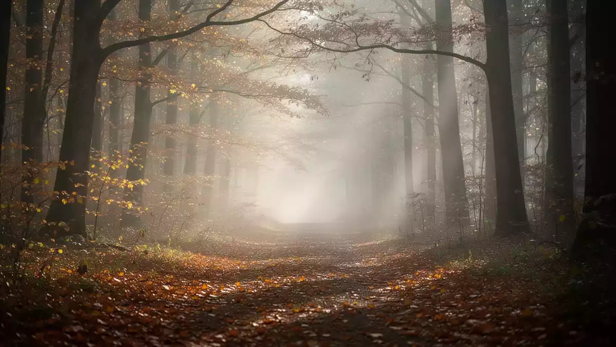 Herbst und Wohlbefinden: Licht, Routinen und Ernährung im Fokus