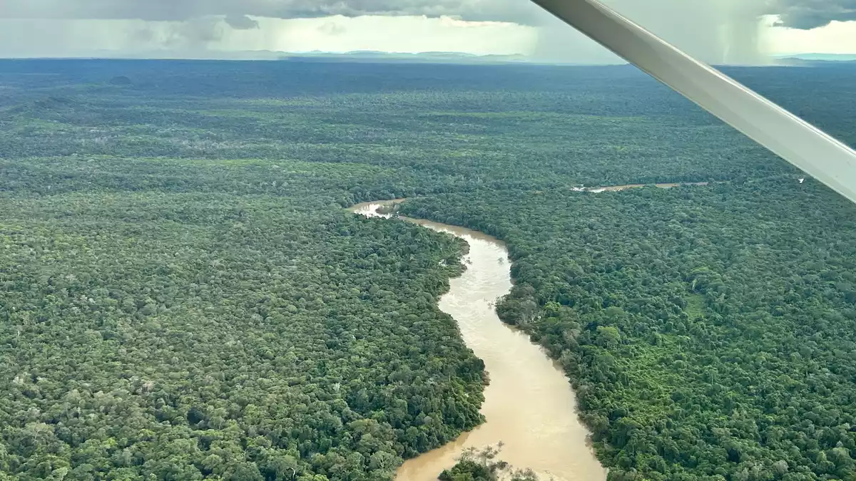 Der Amazonas-Regenwald steht beim Wahlkampf dieses Jahr weniger im Fokus. (Archivbild) - Bild: Philipp Znidar/dpa