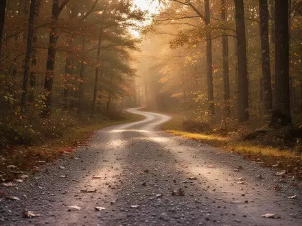 Ein gewundener Kiesweg in einem sonnendurchfluteten Wald bei goldenem Licht. - Foto: über boerse-global.de