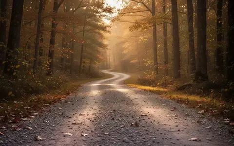 Ein gewundener Kiesweg in einem sonnendurchfluteten Wald bei goldenem Licht. - Foto: über boerse-global.de