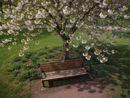Symbolbild: Parkbank unter einem blühenden Baum - Foto: über boerse-global.de
