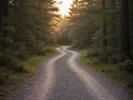 Ein gewundener Kiesweg, der sich durch einen ruhigen Wald schlängelt. - Foto: über boerse-global.de