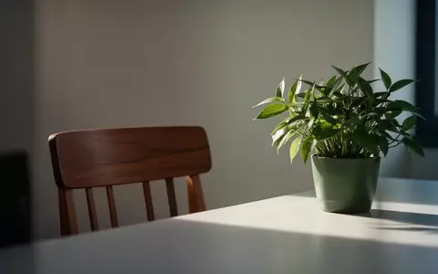 Ein minimalistisch gestalteter, ruhiger Arbeitsbereich mit einer Pflanze und natürlichem Licht, der eine Atmosphäre der Entspannung vermittelt. - Foto: über boerse-global.de