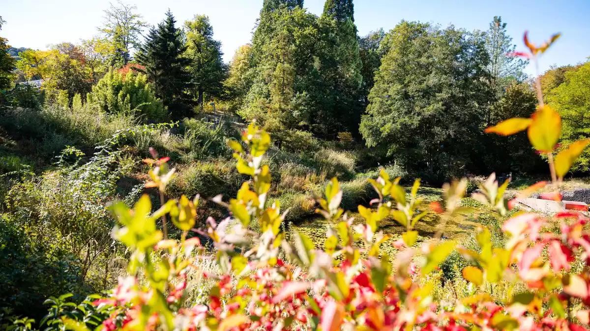 Im Süden Deutschlands werden Höchstwerte um die 23 Grad erwartet.  - Bild: Laszlo Pinter/dpa