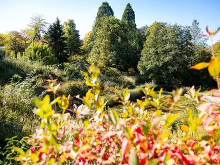 Im Süden Deutschlands werden Höchstwerte um die 23 Grad erwartet.  - Foto: Laszlo Pinter/dpa