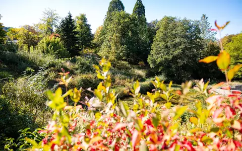 Im Süden Deutschlands werden Höchstwerte um die 23 Grad erwartet.  - Foto: Laszlo Pinter/dpa